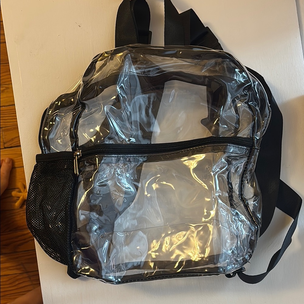 Transparent Black Trim Backpack